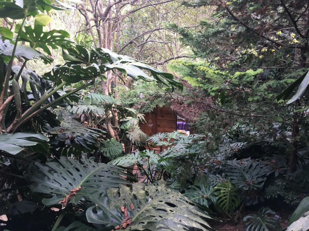 Отель Casa Ranxoxita Itaipava Экстерьер фото